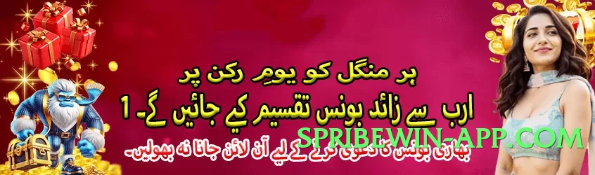 winpkr Lite v5.0.6 Screenshot 3