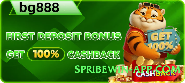 winpkr Lite Official Screenshot 2